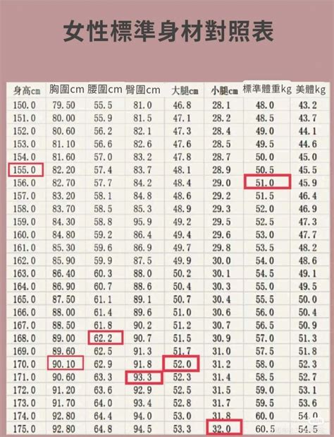 三圍怎樣算好|三圍:定義及測量,標準三圍,身高與三圍,相關數據,日本,美國,中國,